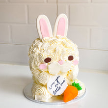 Load image into Gallery viewer, Little Rabbit